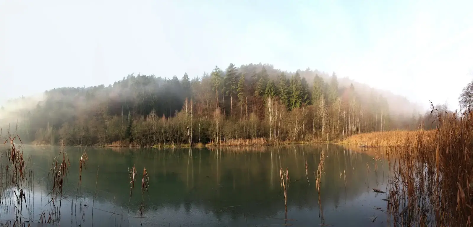 Milčinka